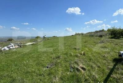 Casă cu 6 camere cu Teren 8700 Mp în Turda - 7
