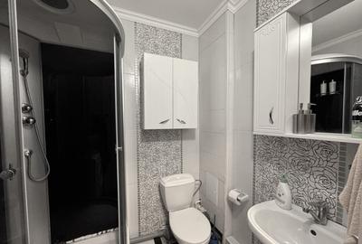 Apartament cu o camera de inchiriat pe Aleea Detunata - 3