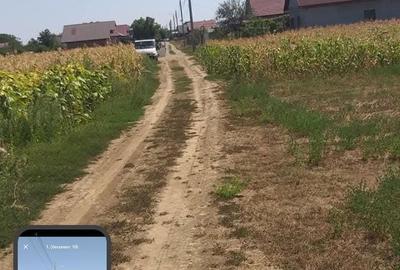 Teren de 790 mp, în Cleja - 2