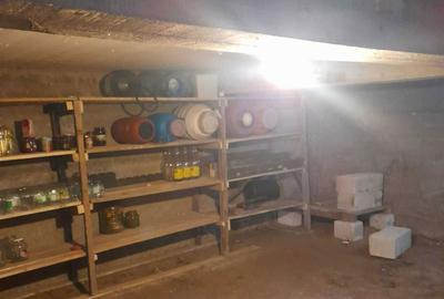 Casă cu 3 camere în Boteni