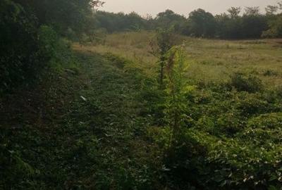 Spațiu comercial, în Liliești