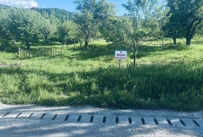 Spațiu comercial, în Morilor - 3