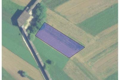 Teren de 15401 mp, în Lunca (Baia de Criș) - 3