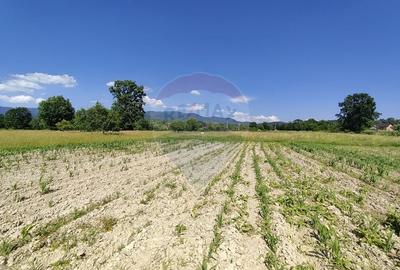 DE VANZARE - Teren intravilan Sisesti, Maramures (0% comision) - 2