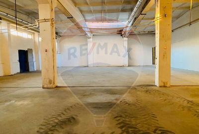 Spa?iu industrial 646 mp la Bulevard - 2