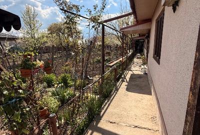 Casă individuală cu 3 camere cu Teren 915 Mp în Modelu - 16