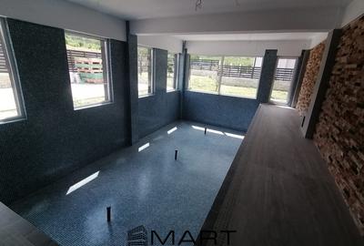 Casă individuală cu 5 camere cu Piscina în Cisnădie - 9