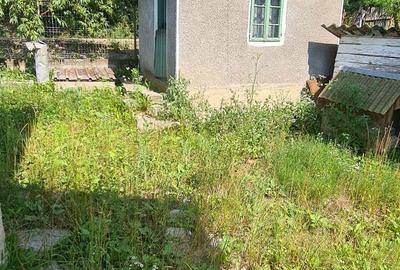 Casă cu 3 camere în Bârsești (Mihăești) - 1