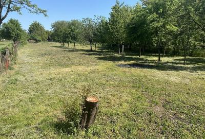 Spațiu comercial, în Sânandrei - 4