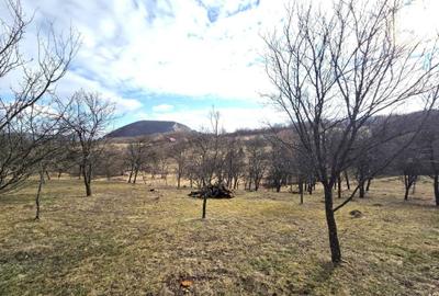 Teren de 3800 mp, în Moigrad-Porolissum - 3