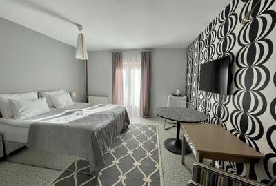 Spațiu comercial, de 1,000 mp, în Sasca Montană - 11