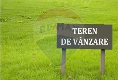 Teren Construcții intravilan de 722 mp, în Sânleani - 2