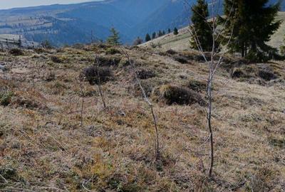 Spațiu comercial, în Măguri - 1