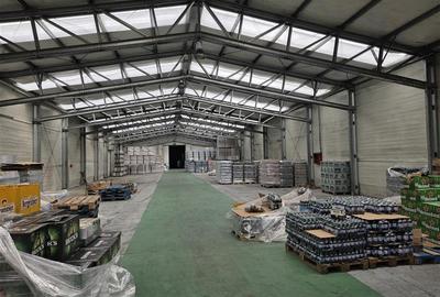 Spațiu industrial, de 1,000 mp, în Central - 3