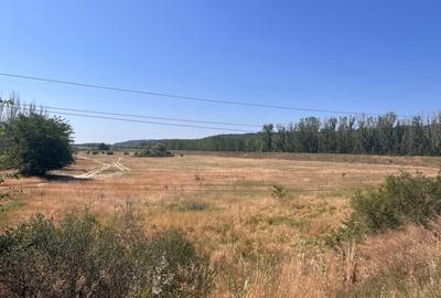 Teren agricol cu potential - 24.834 mp, zona Podul Jiului - 10