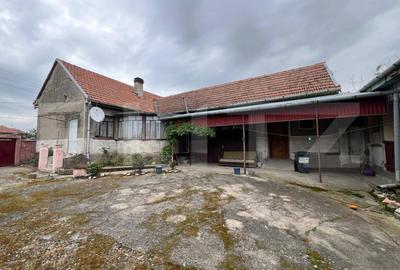 Casa 266 mp, 3992 mp teren, garaj, terasa, Topolovatu Mare-Timisoara - 6