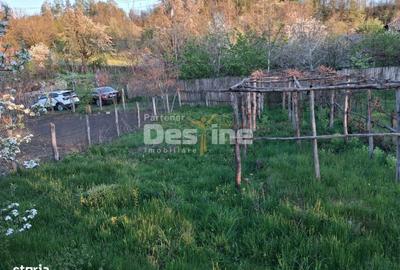 Casă cu 2 camere în Șerbănești - 2