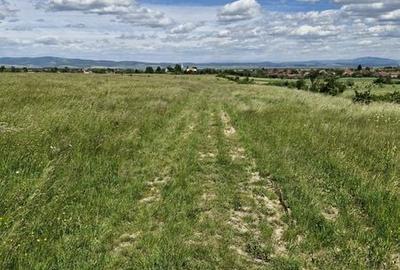 Teren de 14900 mp, în Crizbav - 8