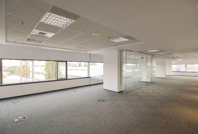 RAMS Business Center, Basarabia, 200 - 2000 mp  0% comision! - 5