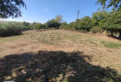 Teren de 2200 mp, în Frumosu - 4