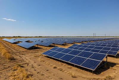 Teren de 4800 mp, în Țânțăreni - 4