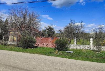 Casă cu 3 camere cu Teren 6100 Mp în Constantinești - 5