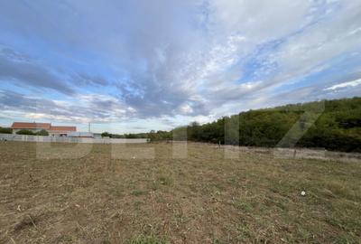 Teren in Filiasi 1000 mp / 30 ml front, toate utilitatile - 8