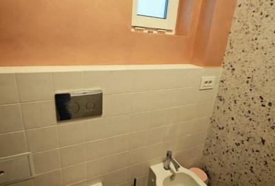 De inchiriat vila in zona Gradina Icoanei - 8