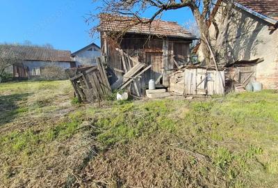 Casă cu 2 camere cu Teren 15000 Mp în Central - 3