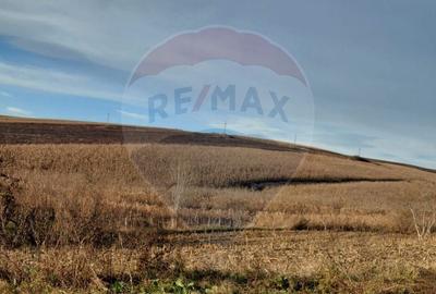 Teren agricol extravilan de 800 mp, în Secuieni - 1