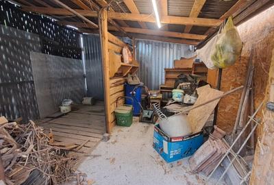 CASA cu anexa si spatiu comercial – de vanzare in BEIUS - 32