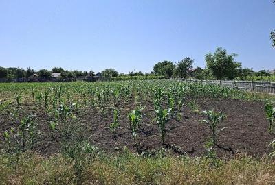 Teren de 1500 mp, în Padina - 8