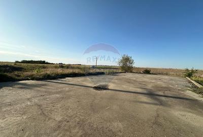 Teren extravilan de vanzare - 19.963 mp, E68 Mandruloc-Vladimirescu - 5