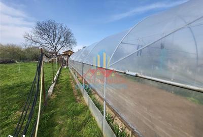 Casă cu 5 camere cu Teren 1387 Mp în Central - 1