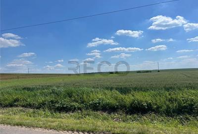 Teren de 10000 mp, în Nojorid - 5