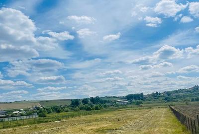 Teren de 5500 mp, în Central