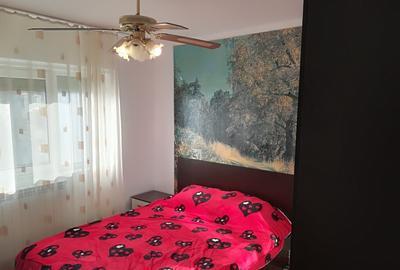 Proprietar apartament 2 camere Decomandat et.3 _Gura Leului-Fabrica - 13