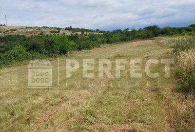 Teren 5590 mp INTRAVILAN Baicoi pret 17 euro/mp - 8