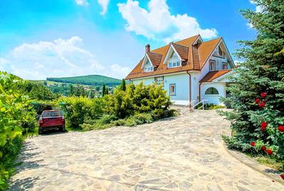 Proprietate unică pe malul lacului Moacșa – liniște, rafinament, eleganta - 5