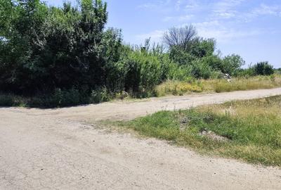 Teren Construcții intravilan de 5200 mp, în Săbăreni - 3