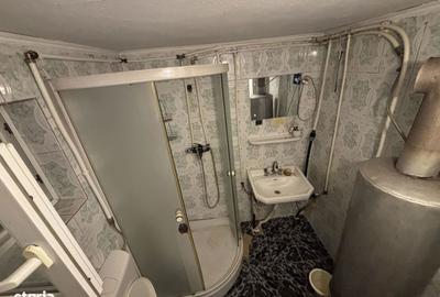 Casă cu 5 camere cu Teren 2700 Mp în Pianu - 15
