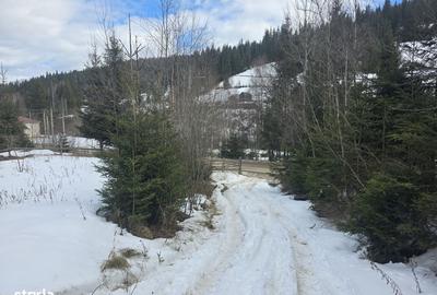 Teren de 15000 mp, în Șaru Dornei - 5