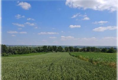 Teren de 1300 mp, în Bosanci - 5