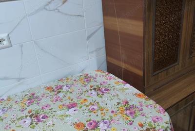 Ofer spre vanzare garsoniera in Ozana Ofer spre vanzare garsoniera in Ozana - 2