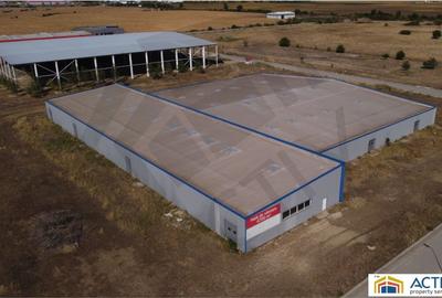 Inchiriere sau vânzare hală Banat Business Park - 2