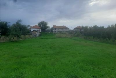 Casă cu 4 camere în Central - 5