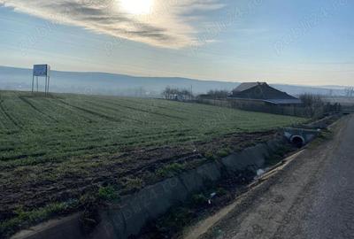 Teren de 19201 mp, în Valea Satului - 1