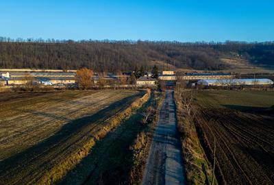 Spațiu industrial, de 50,000 mp, în Horgești - 8