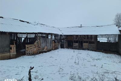 Casă cu 4 camere cu Teren 11000 Mp în Uileacu de Beiuș - 2