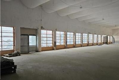 Spatiu Comercial - 950 mp - Complex ARIA - 3